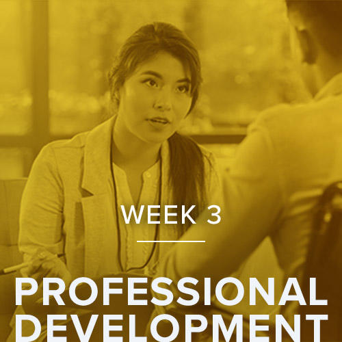 "Week 3 - Professional Development"