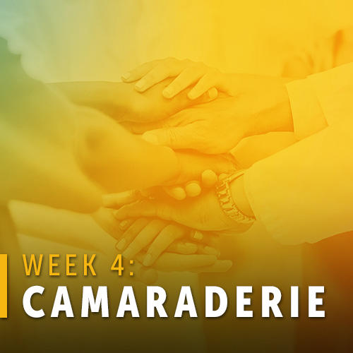 "Week 4: Camaraderie"